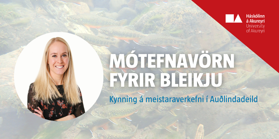Stækka mynd