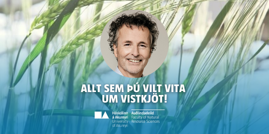 Stækka mynd