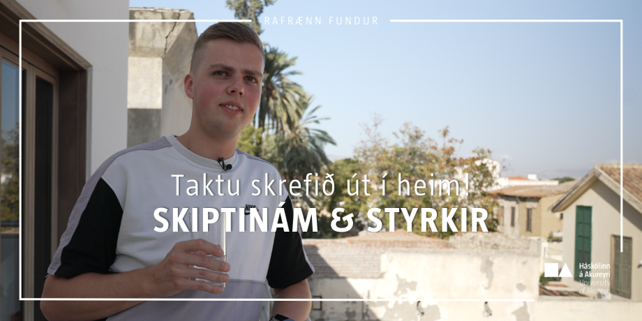 Stækka mynd