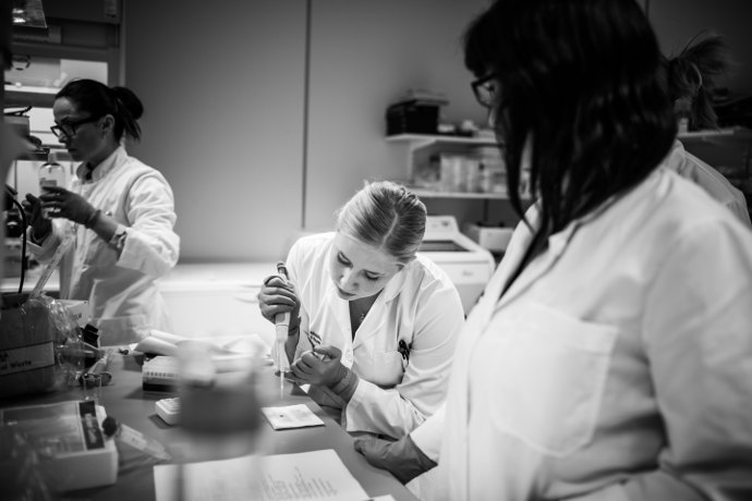 Þórhildur við störf á rannsóknarstofu HA Þórhildur við störf á rannsóknarstofu HA