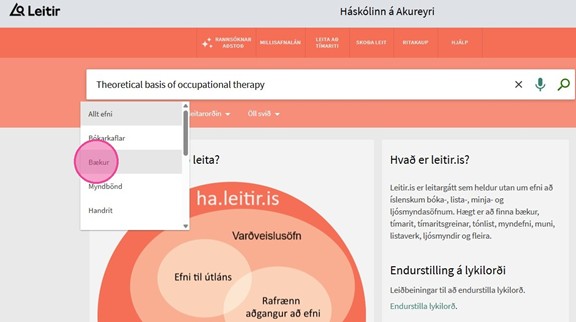 Vefur Leitir.is