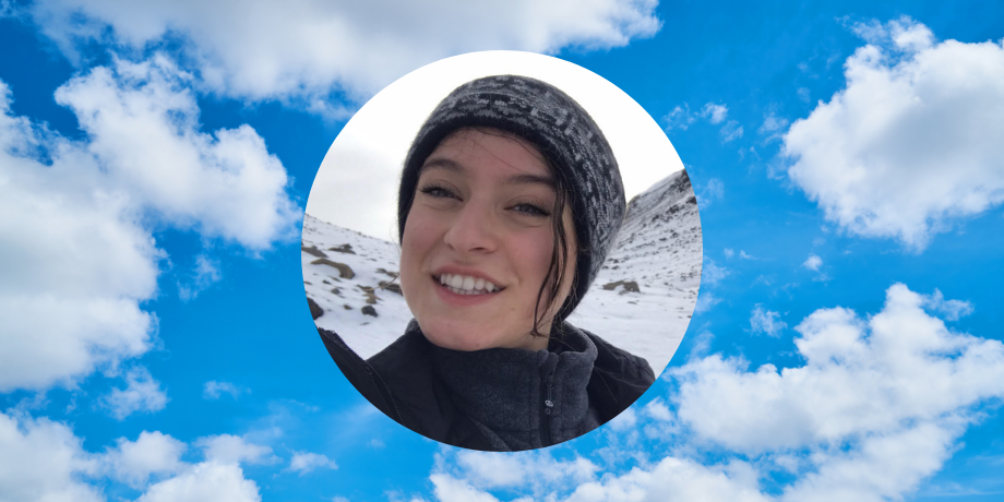 Pseudomonas syringae most common in lichens in Iceland per Capita