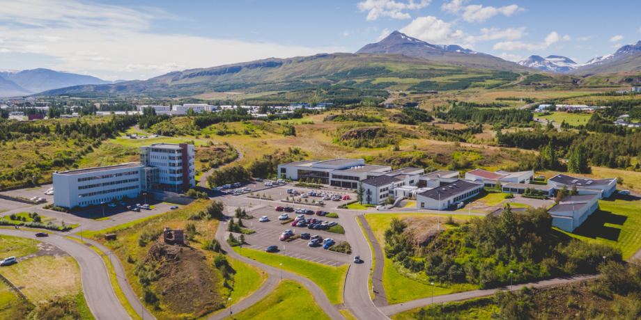 Exploring AI in Higher Education