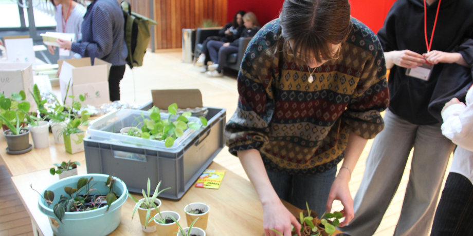 Samhljómur kennslu, rannsókna og félagsstarfs