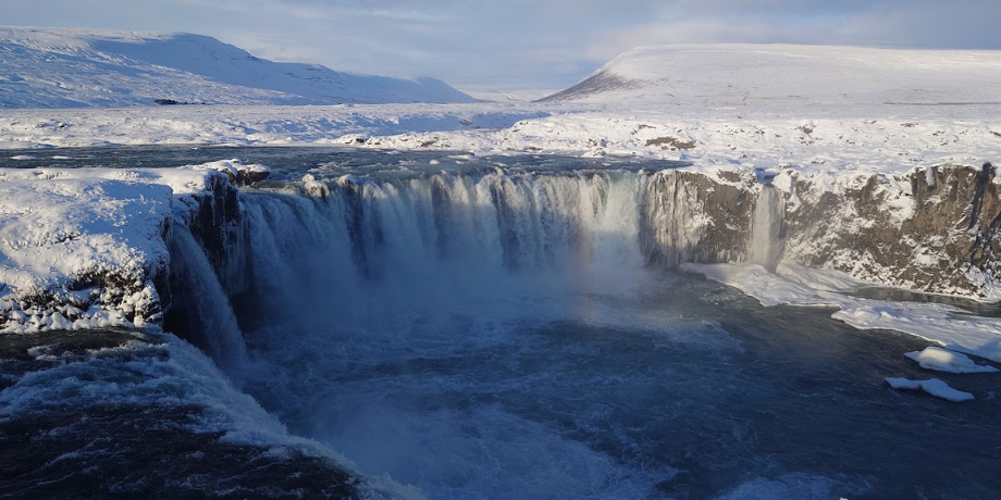 Student Counselling Receives a Narwhal Tusk as a Gift