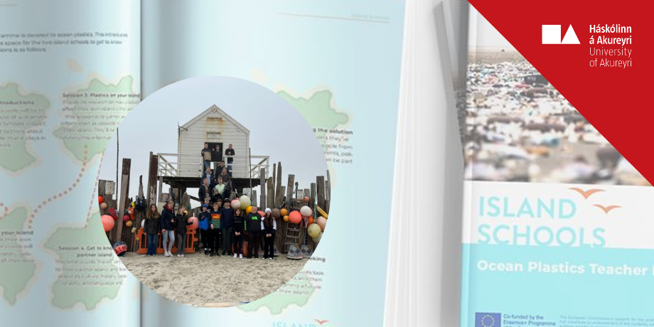 Valdefling grunnskólanemenda og þjálfun í lausnaleit