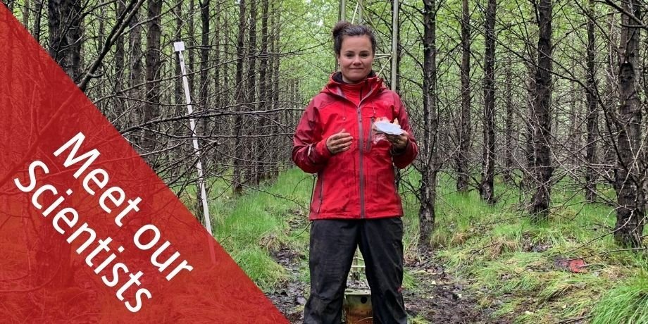 Chocoholic & Devoted Fan of Iceland Flora