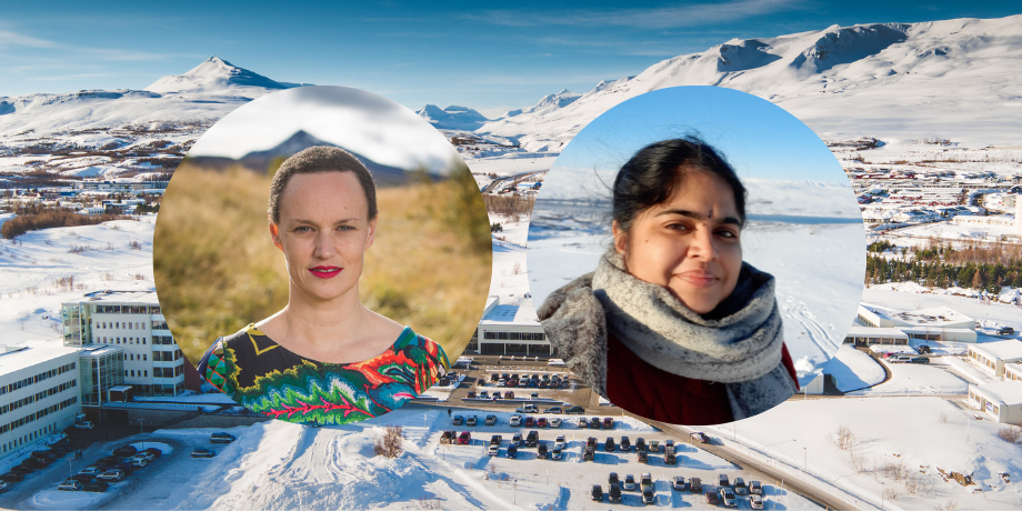 Núverandi þróun í norðurskautsrétti