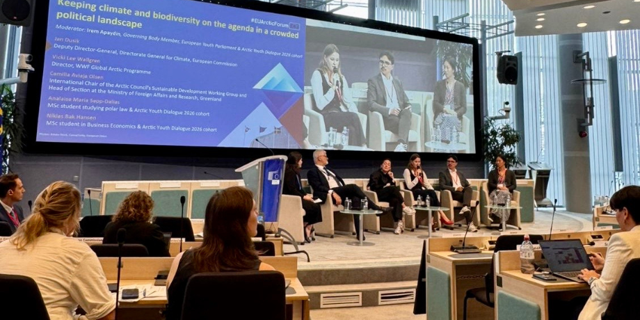 Polar Law student joins Arctic Youth Dialogue 2026