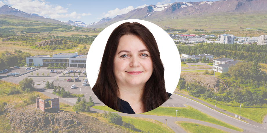 Doktorsvörn Bergljótar Þrastardóttur