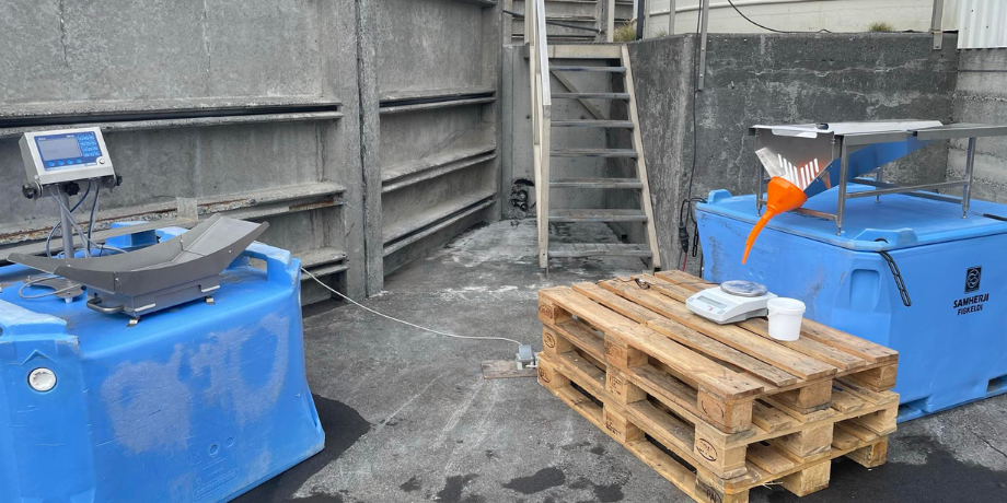 Stúdentar við Auðlindadeild hlutu styrki úr Nýsköpunarsjóði námsmanna