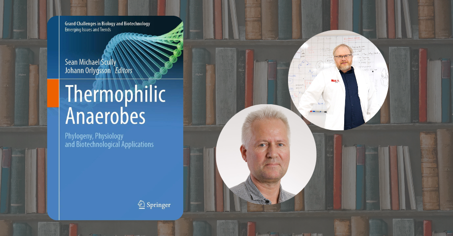 Ný bók eftir Jóhann Örlygsson og Sean Scully