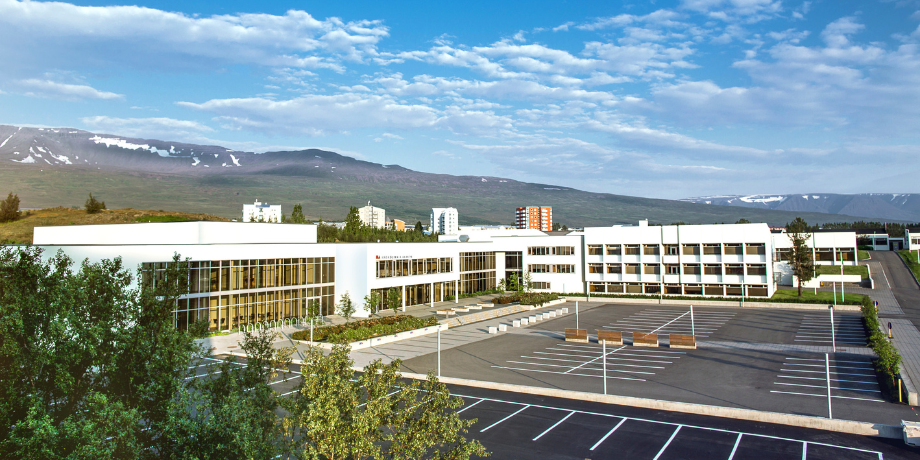 Horft til fjölbreytileikans