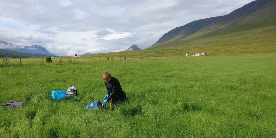 Veðurfar og örverur: Háskólinn á Akureyri meðal leiðandi vísindastofnana