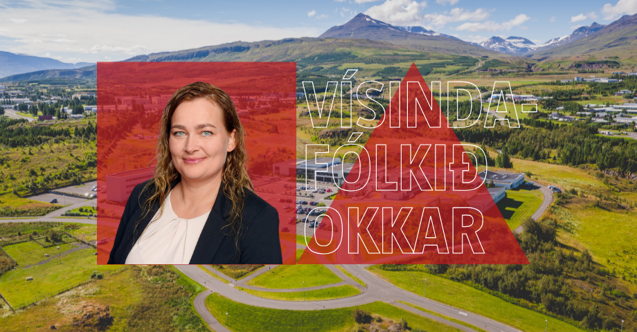 Bandýspilandi lektor með málflutningsréttindi