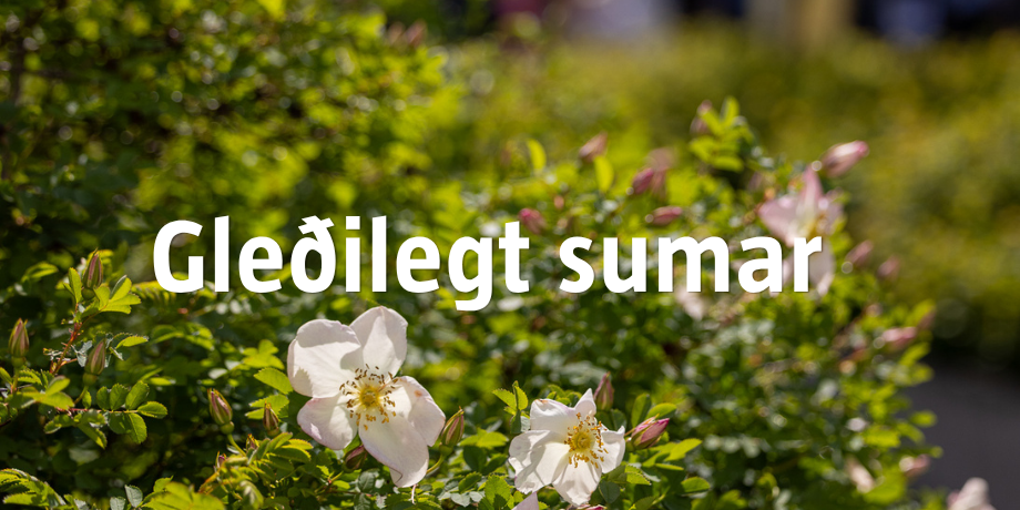 Summer Services 2026