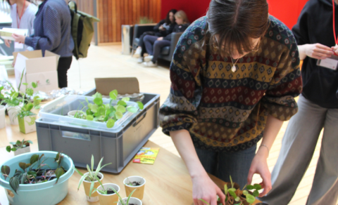 Samhljómur kennslu, rannsókna og félagsstarfs