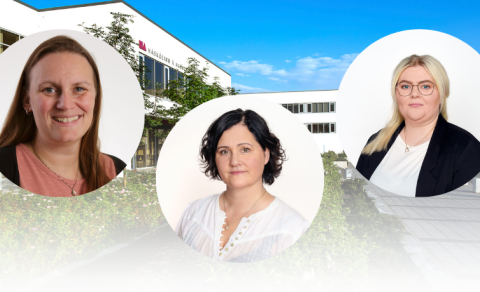 Hugbúnaður til heilsu