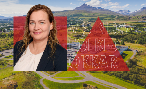 Bandýspilandi lektor með málflutningsréttindi