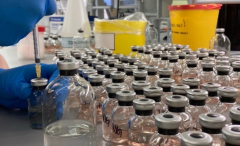 Örverur lausn í landbúnaði?