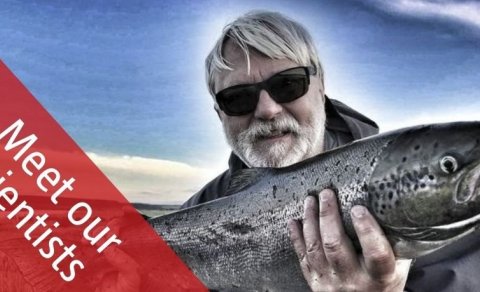 The Future of Life in Iceland in the Shadow of Climate Change 