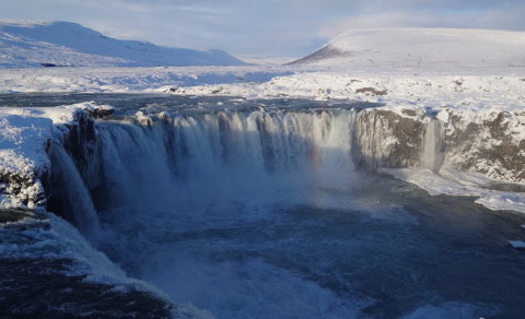 Nemendaráðgjöf fær náhvalstönn að gjöf