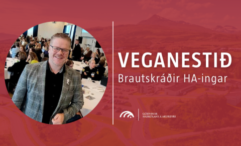 Veganestið - Valdimar Víðisson
