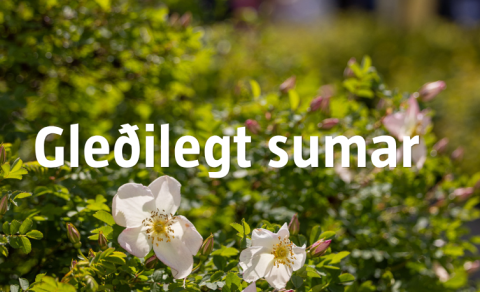 Summer Services 2026