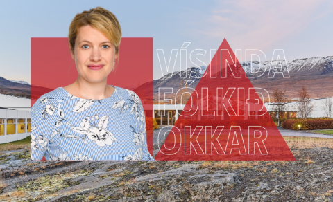Að byrja á hinu nærtæka og opna glugga út í heim